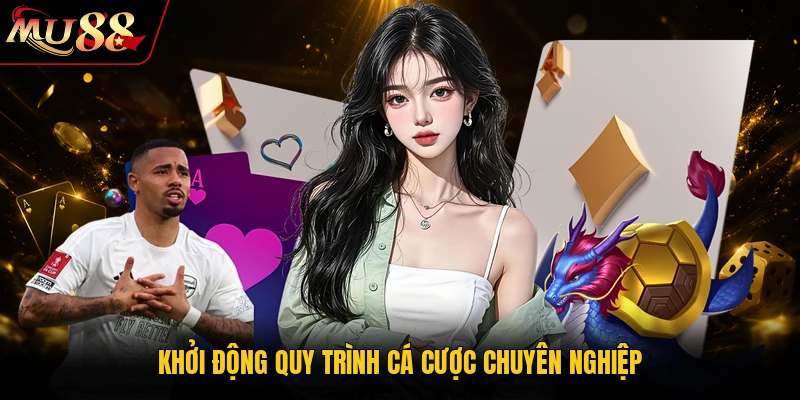 Khởi động quy trình cá cược chuyên nghiệp