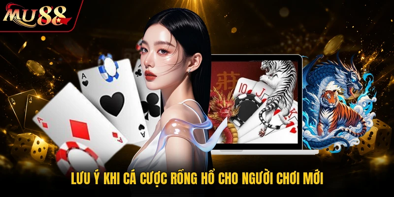 Lưu ý khi cá cược Rồng Hổ cho người chơi mới